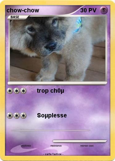 Pokemon chow-chow