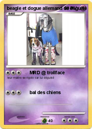 Pokemon beagle et dogue allemand se déguisé