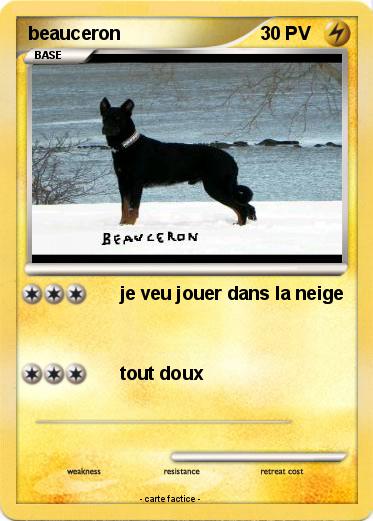 Pokemon beauceron