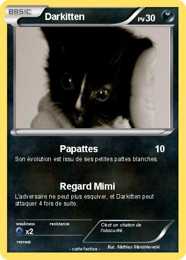 Pokemon Darkitten