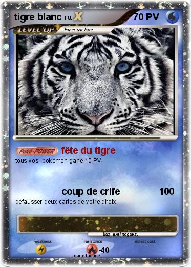 Pokemon tigre blanc