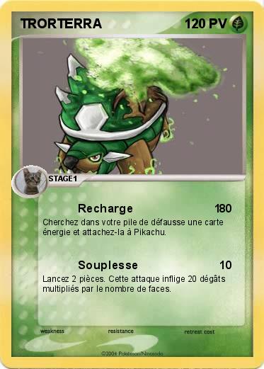 Pokemon TRORTERRA