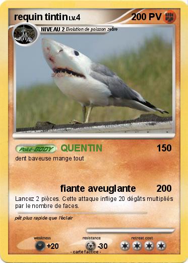 Pokemon requin tintin