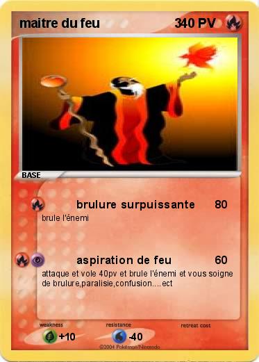 Pokemon maitre du feu                     3