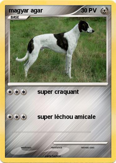 Pokemon magyar agar