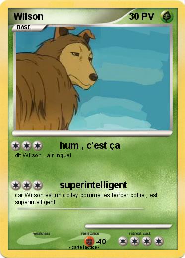 Pokemon Wilson