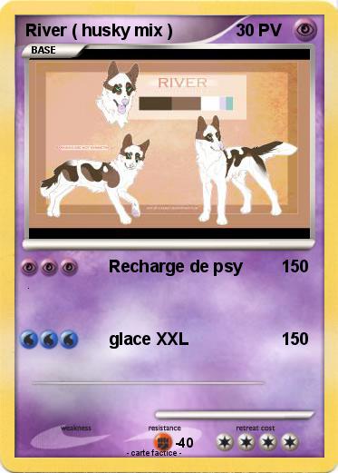 Pokemon River ( husky mix )