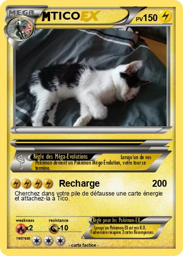 Pokemon TICO