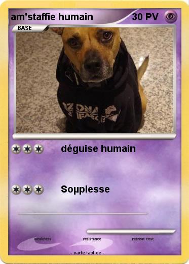 Pokemon am'staffie humain