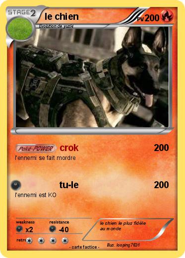 Pokemon le chien