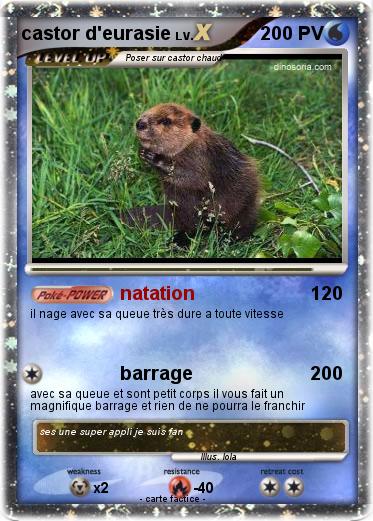 Pokemon castor d'eurasie