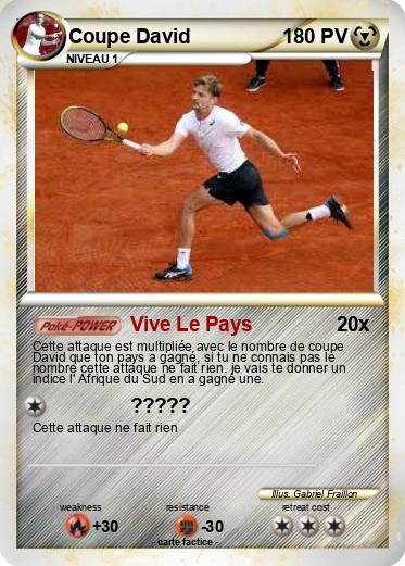 Pokemon Coupe David