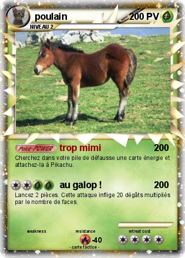Pokemon poulain