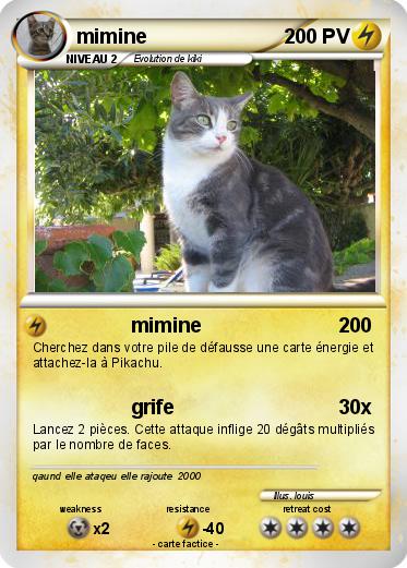 Pokemon mimine