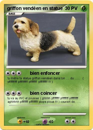 Pokemon griffon vendéen en statue