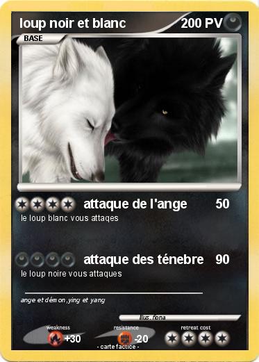 Pokemon loup noir et blanc