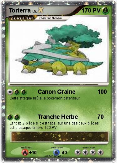 Pokemon Torterra