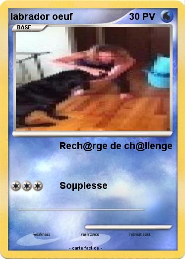 Pokemon labrador oeuf