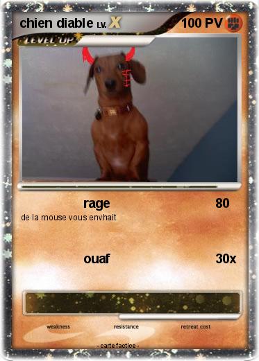 Pokemon chien diable