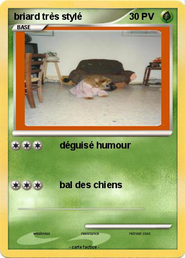 Pokemon briard très stylé