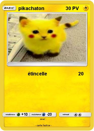 Pokemon pikachaton