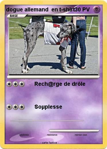 Pokemon dogue allemand  en t-shirt