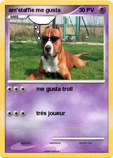 Pokemon am'staffie me gusta