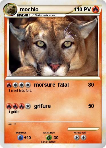 Pokemon mochio