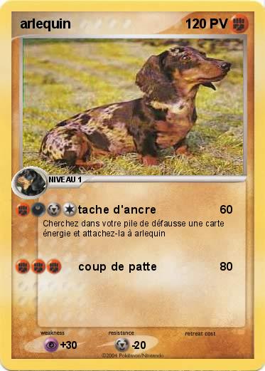 Pokemon arlequin