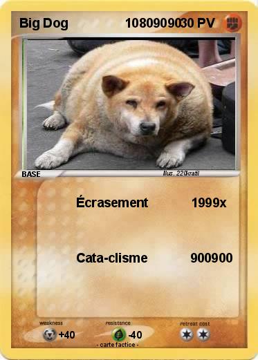 Pokemon Big Dog                10809090