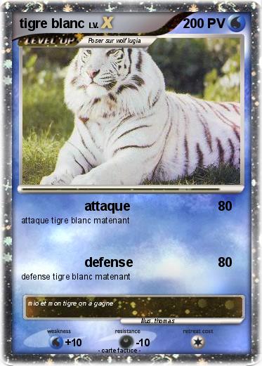 Pokemon tigre blanc