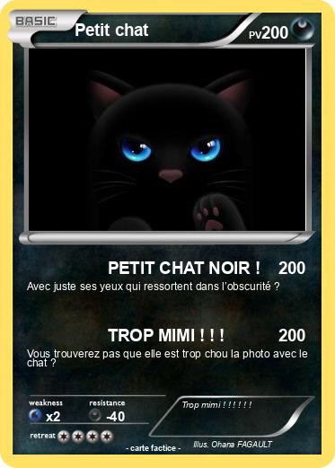 Pokemon Petit chat