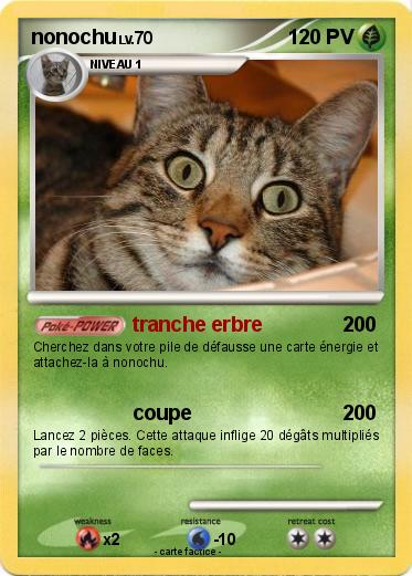 Pokemon nonochu