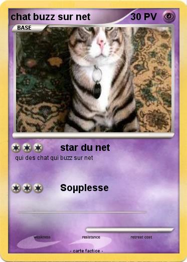 Pokemon chat buzz sur net