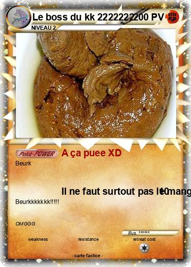 Pokemon Le boss du kk 2222222