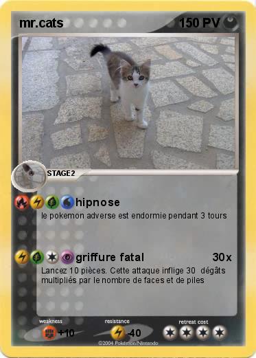 Pokemon mr.cats  