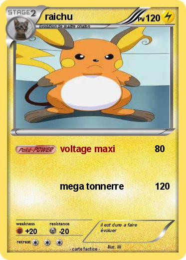Pokemon raichu