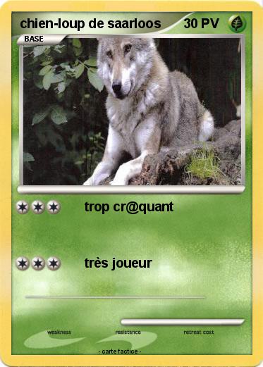Pokemon chien-loup de saarloos