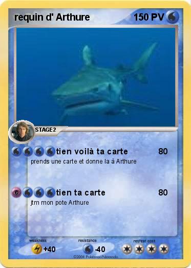 Pokemon requin d' Arthure