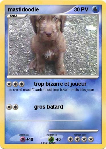 Pokemon mastidoodle