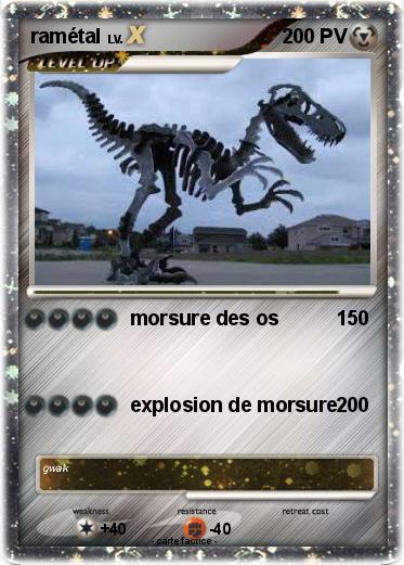 Pokemon ramétal
