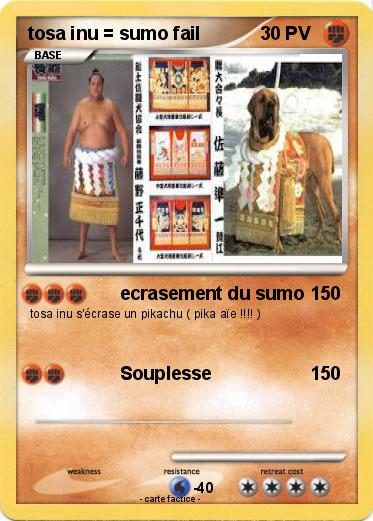 Pokemon tosa inu = sumo fail