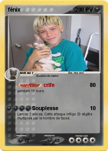 Pokemon fénix
