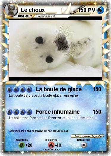 Pokemon Le choux