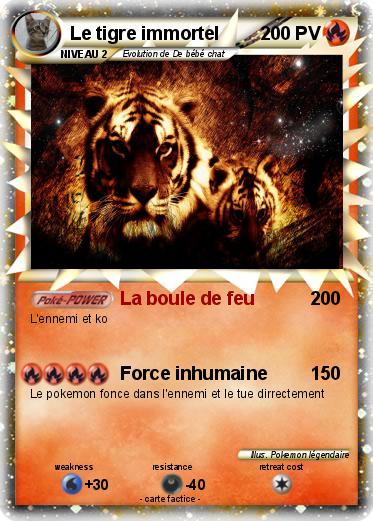Pokemon Le tigre immortel