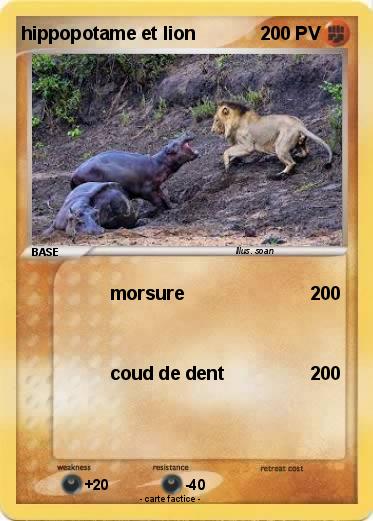 Pokemon hippopotame et lion