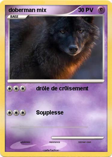 Pokemon doberman mix