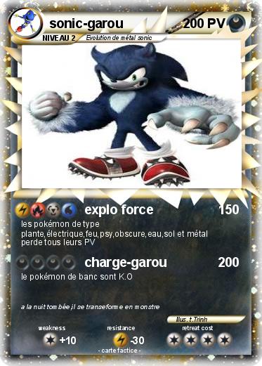 Pokemon sonic-garou