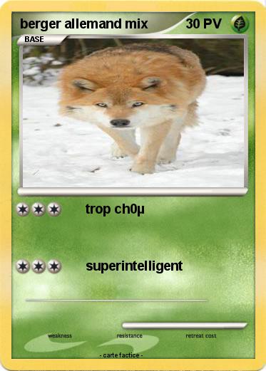 Pokemon berger allemand mix