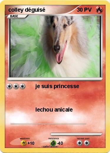 Pokemon colley déguisé